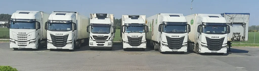 Zakup ciągników siodłowych zasilanych LNG 6